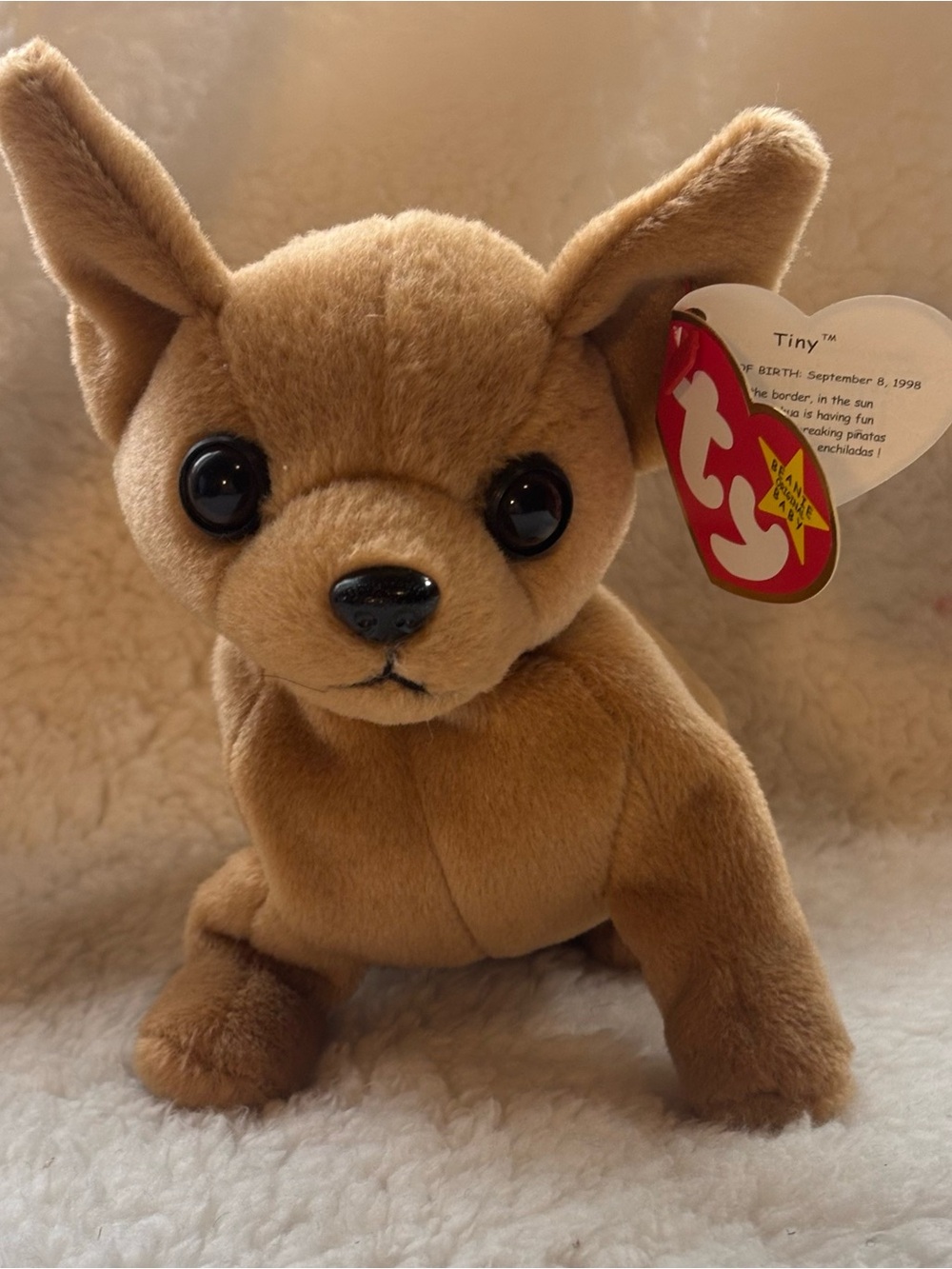 Ty Beanie Baby Tiny the Chihuahua - Retired 1999 (5th Gen Hang Tag) - Mint cond